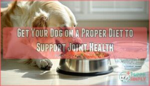 get your dog on a proper diet to support joint health