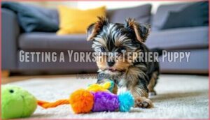 getting a yorkshire terrier puppy