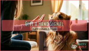 give a hand signal