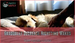 gradually decrease nighttime wakes