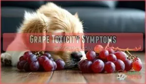 grape toxicity symptoms
