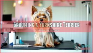 grooming a yorkshire terrier