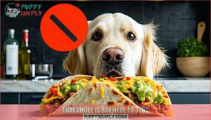 guacamole is harmful to dogs