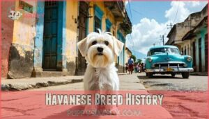 havanese breed history