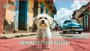 havanese breed history