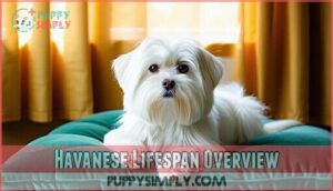 havanese lifespan overview