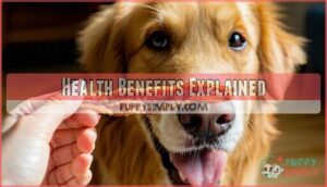 health benefits explained