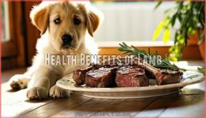 health benefits of lamb