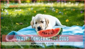 health concerns for dogs