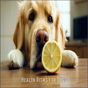health risks for dogs