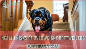 health risks of overweight rottweilers