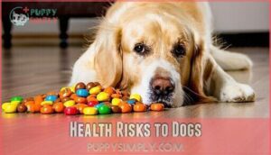 health risks to dogs