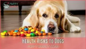 health risks to dogs