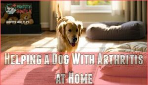 helping a dog with arthritis at home