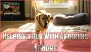 helping a dog with arthritis at home