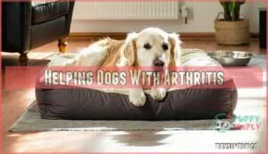 helping dogs with arthritis