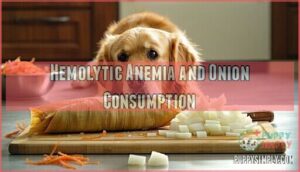 hemolytic anemia and onion consumption