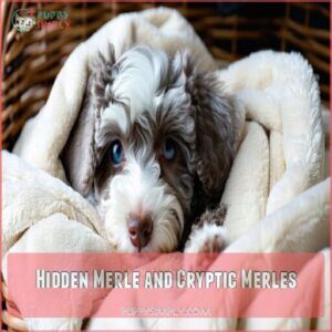 hidden merle and cryptic merles