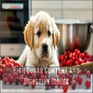 high sugar content and digestive issues