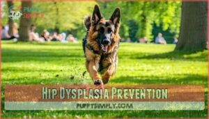 hip dysplasia prevention