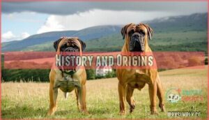 history and origins