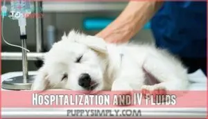 hospitalization and iv fluids