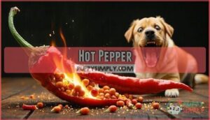 hot pepper