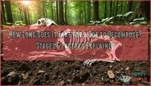 how long does it take for dog to decompose