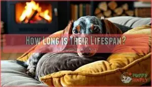 how long is their lifespan how long is their lifespan