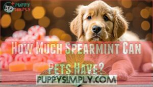 how much spearmint can pets have