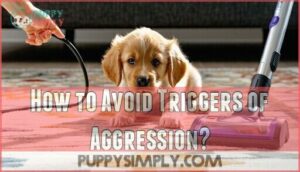 how to avoid triggers of aggression