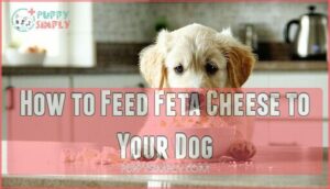 how to feed feta cheese to your dog