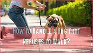 how to handle a dog that refuses to walk