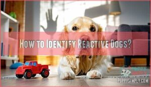 how to identify reactive dogs