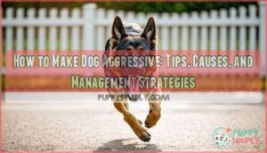 how to make dog aggressive