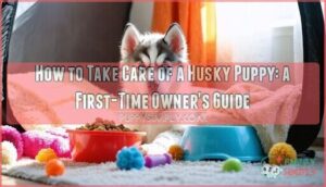 how to take care of a husky puppy a first time owners guide
