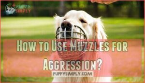 how to use muzzles for aggression