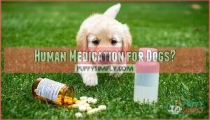 human medication for dogs