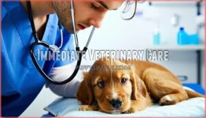 immediate veterinary care