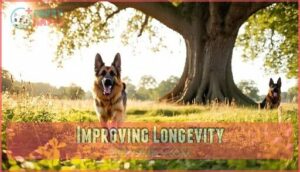 improving longevity
