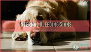 internal bleeding signs