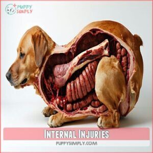internal injuries