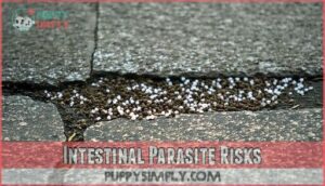 intestinal parasite risks