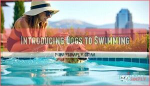 introducing dogs to swimming