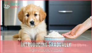 introducing gradually