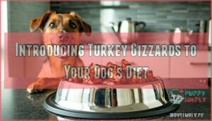 introducing turkey gizzards to your dog's diet