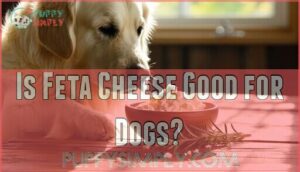 is feta cheese good for dogs
