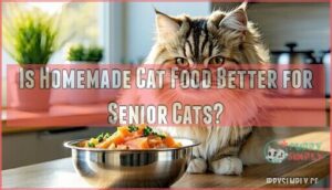 is homemade cat food better for senior cats