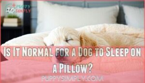 is it normal for a dog to sleep on a pillow