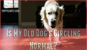 is my old dog's circling normal